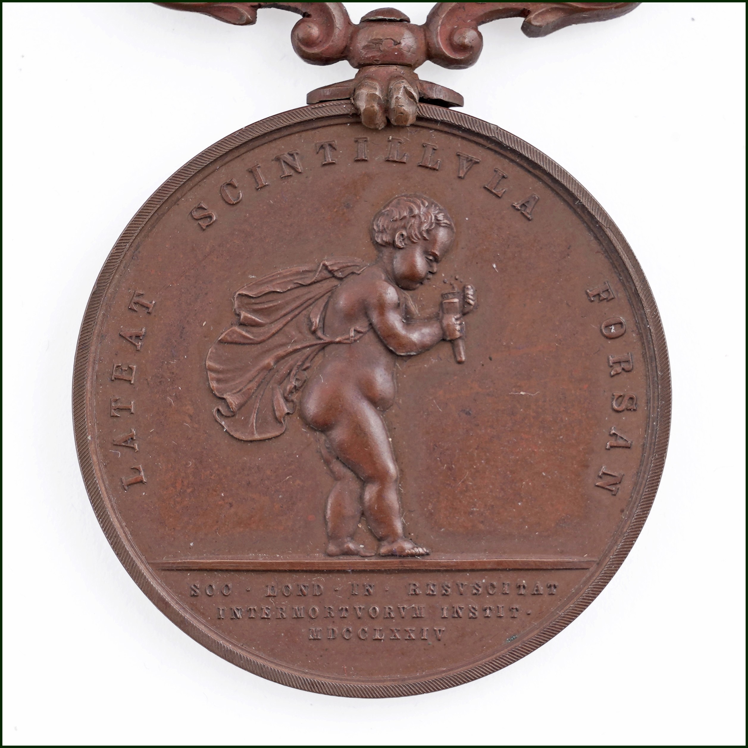 The Collectors' Auction